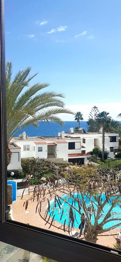 Nueva Europa Studio Ocean View Lejlighed Playa Del Aguila  Eksteriør billede